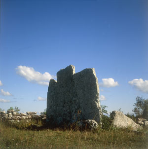 Kalksteinfelsen auf Öland